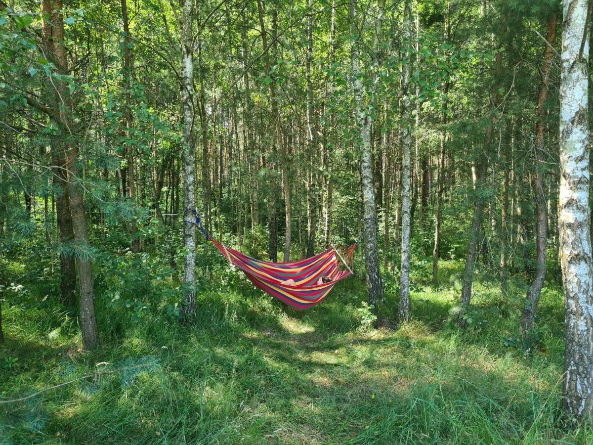 Dworek Ogrodniki, całoroczny dom wakacyjny na wyłączność, basen, sauna, las, pianino, duża ogrodzona posesja Tuczna Zewnętrze zdjęcie